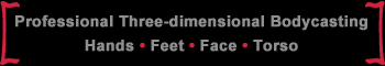 Professional three-dimensional bodycasting:  hands, feet, face, torso